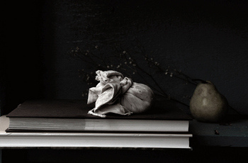 «Книжечки и другое»